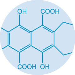 CALIBRA - VD -www - Hepatic - 6-21 - 8